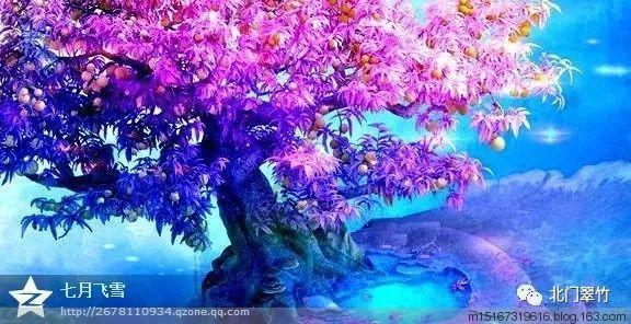 魔法比赛